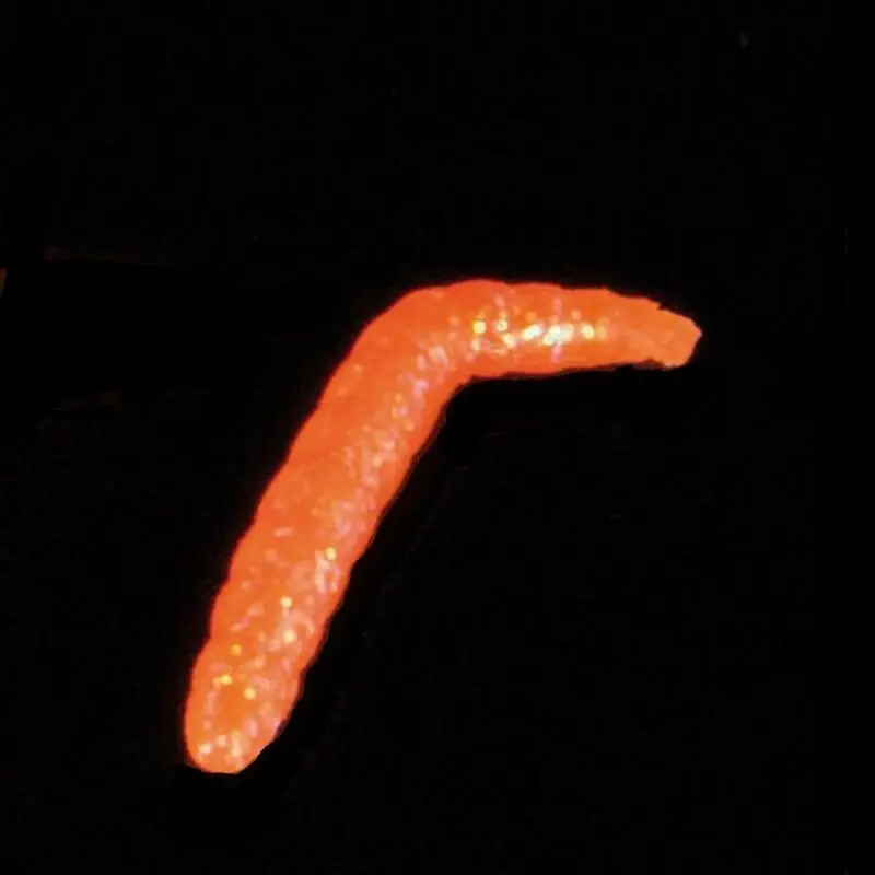 Poslední Šance SAENGER Gumová nástraha Iron Trout Baco Vzor OGL