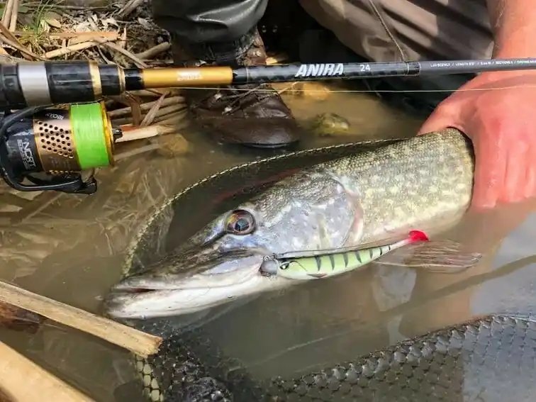 Lucky John prut rod Anira Microjig 24 2.44m 5-24g Omezená Nabídka