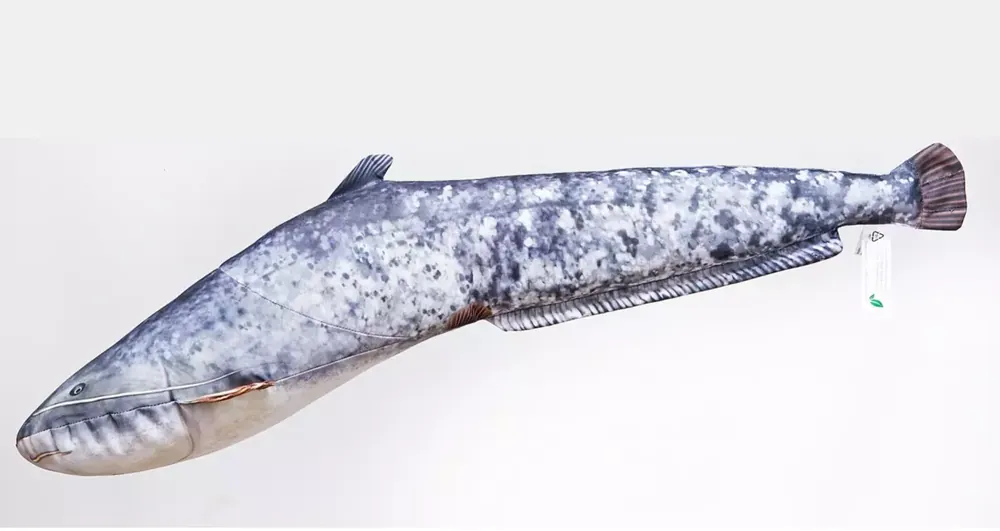 GABY polštářek Sumec malý 62cm Víkendová Akce