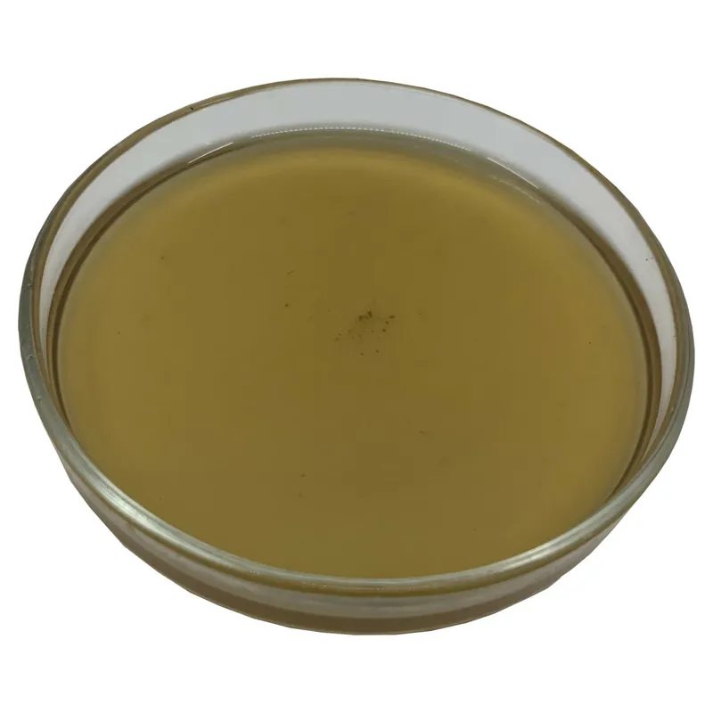 LK Baits IQ Method Feeder Liquid Booster Big Roach 250ml Cenová Bomba