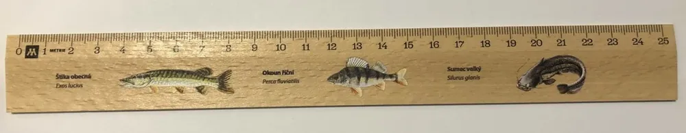 PRAVÍTKO dřevěné 25 cm štika, okou, sumec Omezená Nabídka