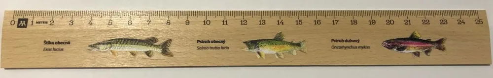 PRAVÍTKO dřevěné 25 cm štika, pstruh Tovární Cena