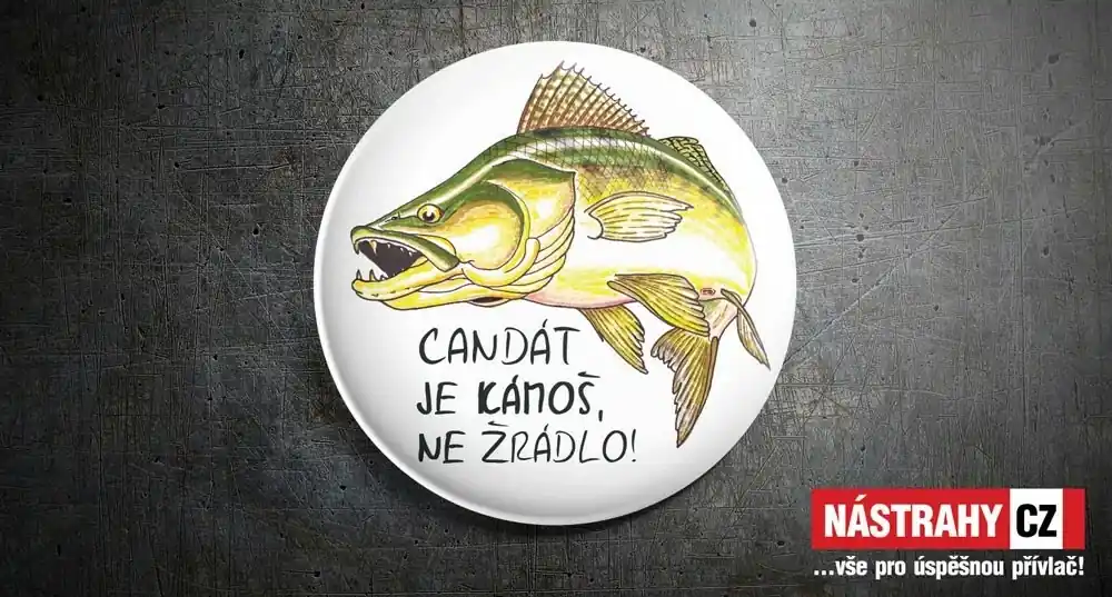 Pouze Dnes Placka Candát je kámoš