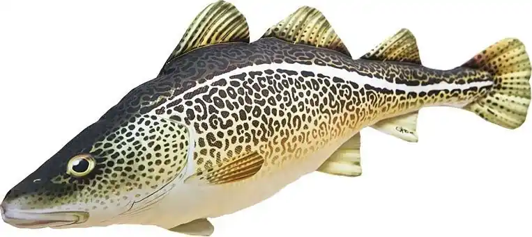 Dokud Zásoby Vydrží GABY Polštářek Treska obecná mini 38cm
