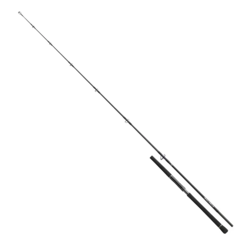 Nakupujte Hned Daiwa Saltiga Light Game 8ft 240cm 40-110g