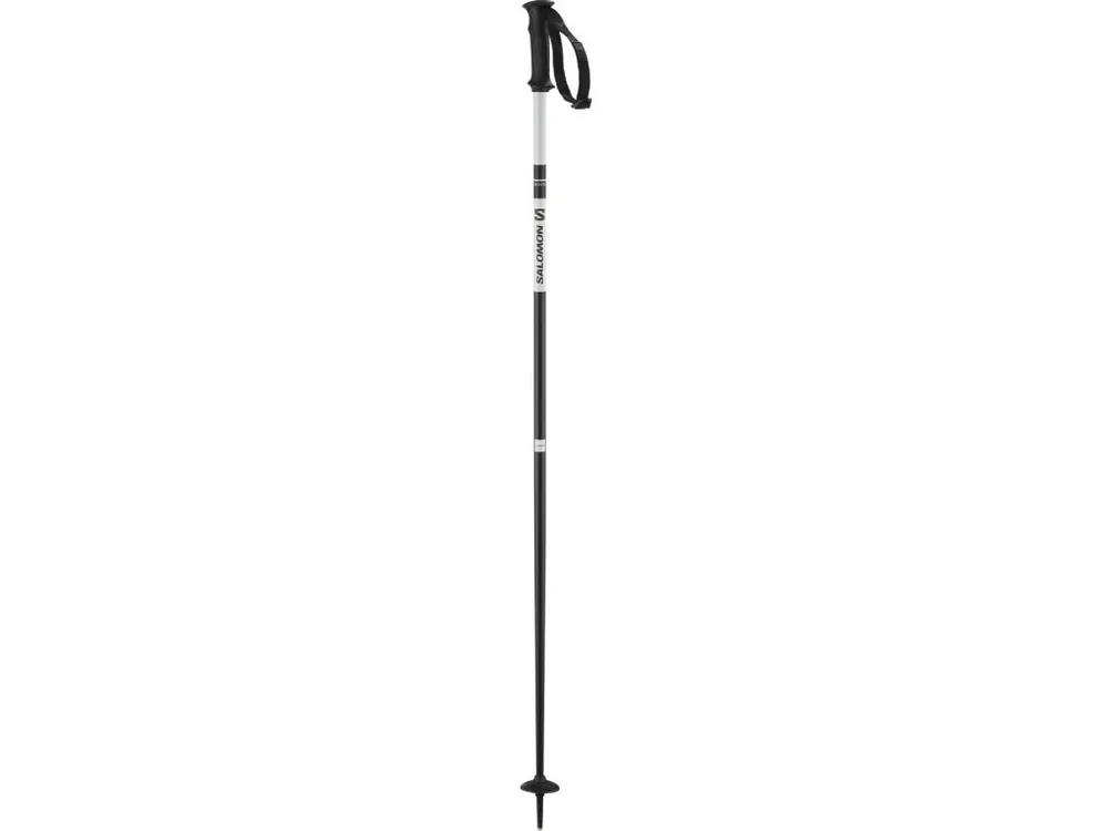 Sjezdové hole Salomon X North black/white Tovární Cena