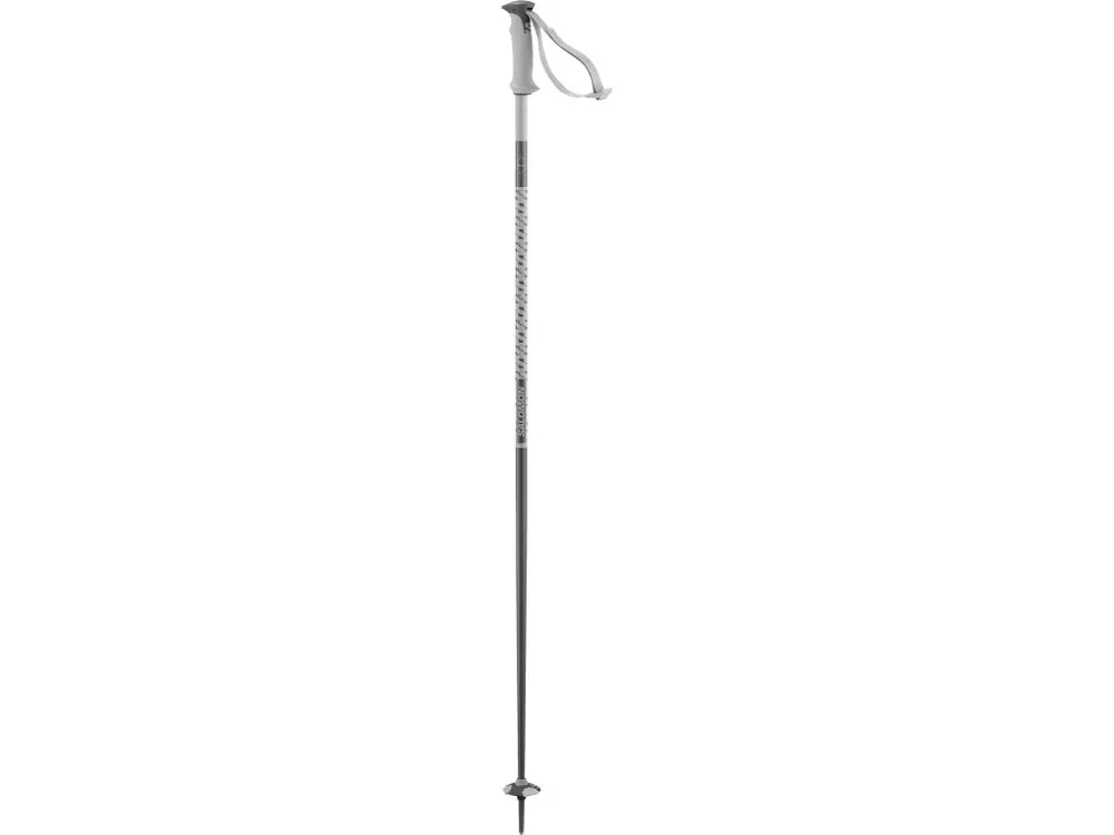 Sjezdové hole Salomon Polar Grey/Violet 24/25 Nejlepší Cena