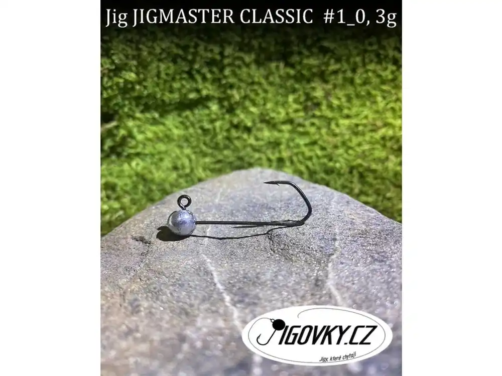 JIGMASTER CLASSIC 1/0 - 5 ks, 3 g Oblíbený