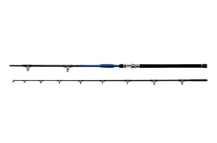 Nejlepší Volba Delphin pruty HAZARD 310cm/500g