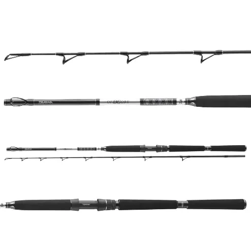 Akční Cena Daiwa BG Deep Sea 2.20m 150-300g
