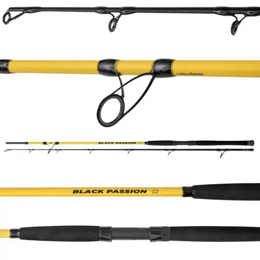 Black Cat Black Passion G2 Spin 2.70m 50-200g Výprodej