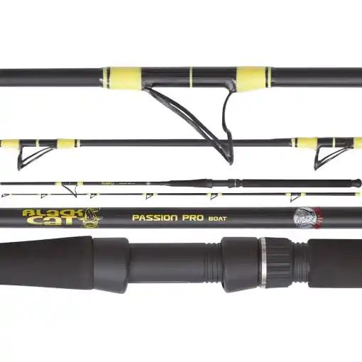 Must-Have Black Cat Passion Pro Boat 2.50m 200-400g