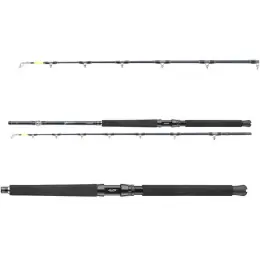 DAIWA - Tanacom Ultra Deep 2.10m 400-1000g 2D Autentický