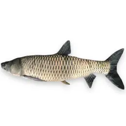 BeCare - Polštář Amur 25cm Cenově Výhodný