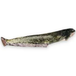 Poslední Šance BeCare - Polštář Sumec 120cm