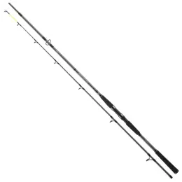Akční Cena DAIWA - Prut Seahunter X, 2,60m, 60-180g, 2D