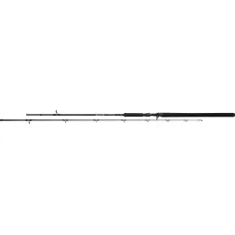 Zlevněný MIKADO - Prut Bixlite pike master 2,4m 30-105g, 2D