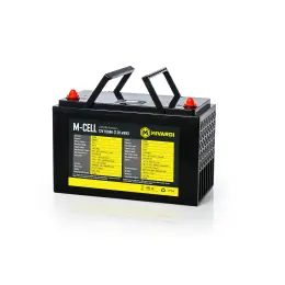 Omezená Nabídka Mivardi M-CELL LiFePO4 12V 100Ah + 20A nabíječka