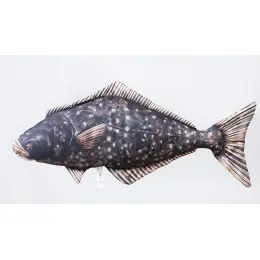 GABY - Polštář Halibut 72cm Nová Kolekce