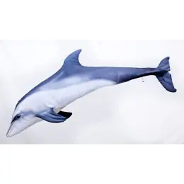GABY - Polštář Delfín Skákavý 125cm Akce