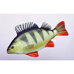 GABY - Polštář Okoun říční 50cm Značkový