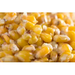 Mivardi Kukuřice - Med 1kg Koupit Online