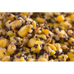 Mivardi Partikl mix 2,5kg Originální