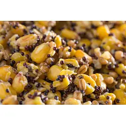 Mivardi Partikl mix 1kg Nízká Cena